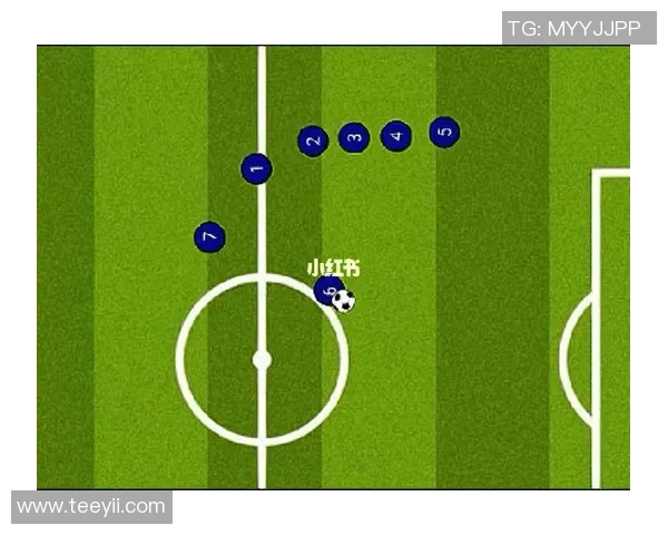 赛后分析：北京飞盘队与杭州飞盘队的实力对决与战术解析